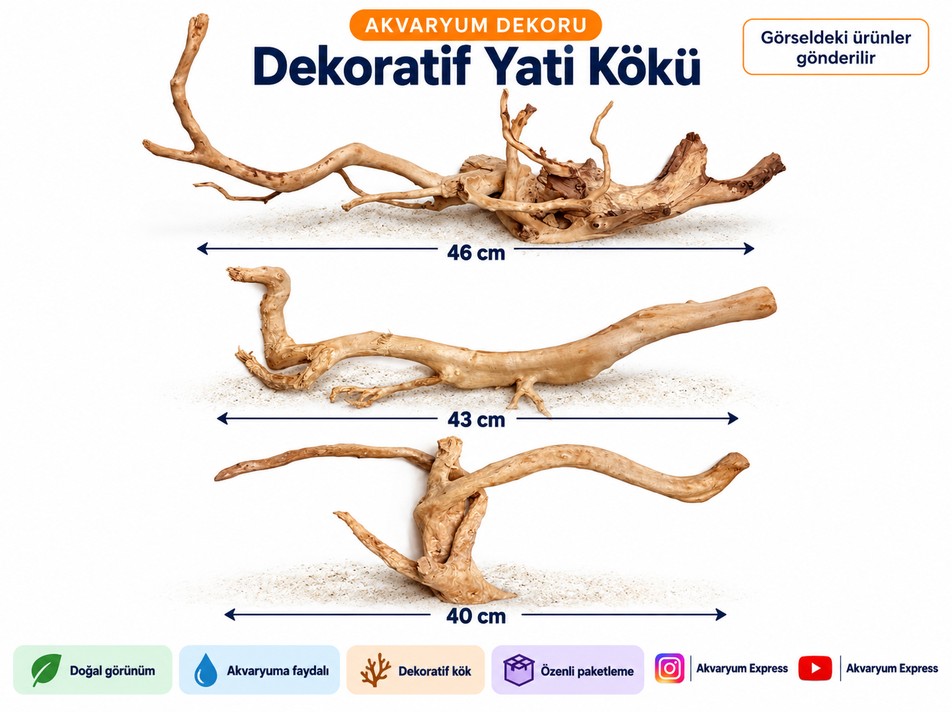 DOĞAL DEKORATİF YATİ KÖKÜ AKVARYUM DEKORU 3 ADET
