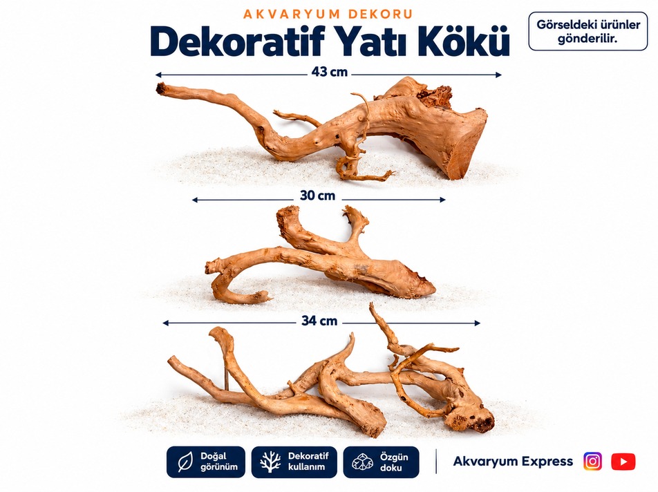 DOĞAL DEKORATİF YATİ KÖKÜ AKVARYUM DEKORU 3 ADET