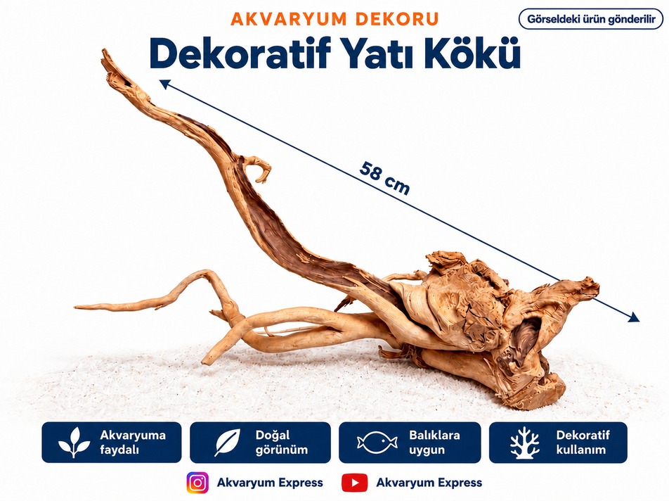 DOĞAL DEKORATİF YATİ KÖKÜ AKVARYUM DEKORU 