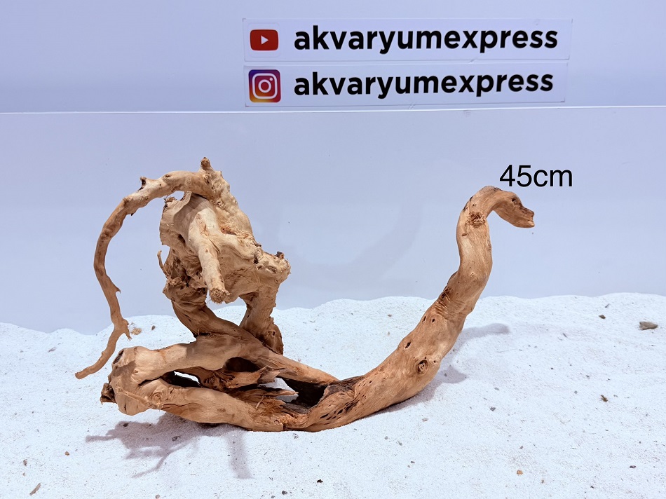DOĞAL DEKORATİF YATİ KÖKÜ DEV BOY EXZO006