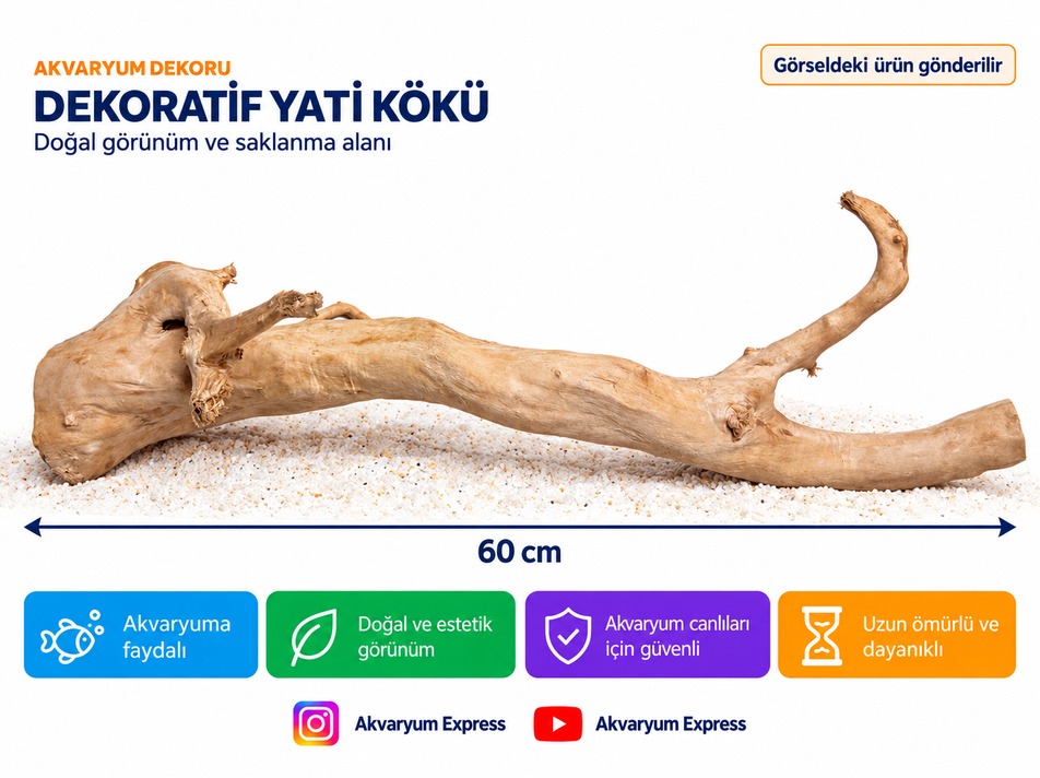 DOĞAL DEKORATİF YATİ KÖKÜ AKVARYUM DEKORU EJDER MODELİ