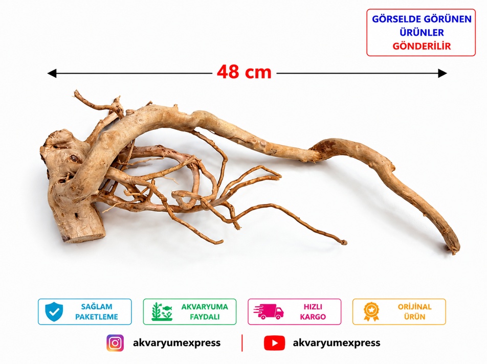 DOĞAL DEKORATİF YATİ KÖKÜ AKVARYUM DEKORU EXPRESS MODEL