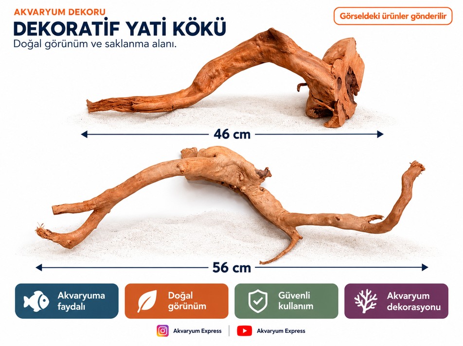 DOĞAL DEKORATİF YATİ KÖKÜ AKVARYUM DEKORU EXZO004 2 PARÇA