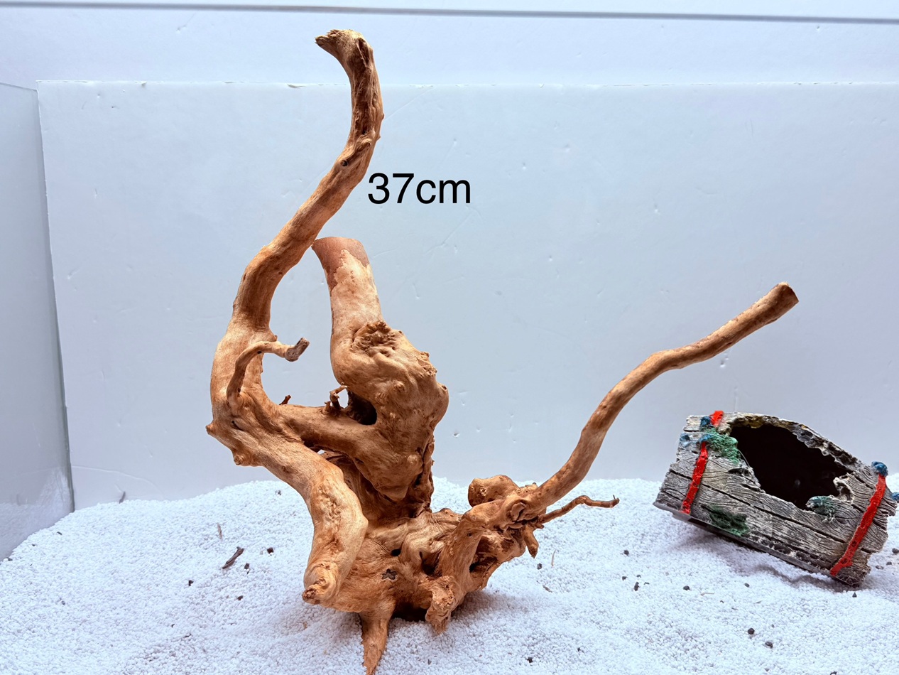 DOĞAL DEKORATİF YATİ KÖKÜ AKVARYUM DEKORU GÖZDE MODEL DOĞAL DEKORATİF YATİ KÖKÜ AKVARYUM DEKORU GÖZDE MODEL