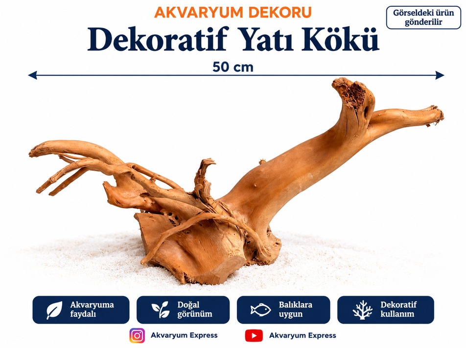 DOĞAL DEKORATİF YATİ KÖKÜ AKVARYUM DEKORU GÖZDE MODEL