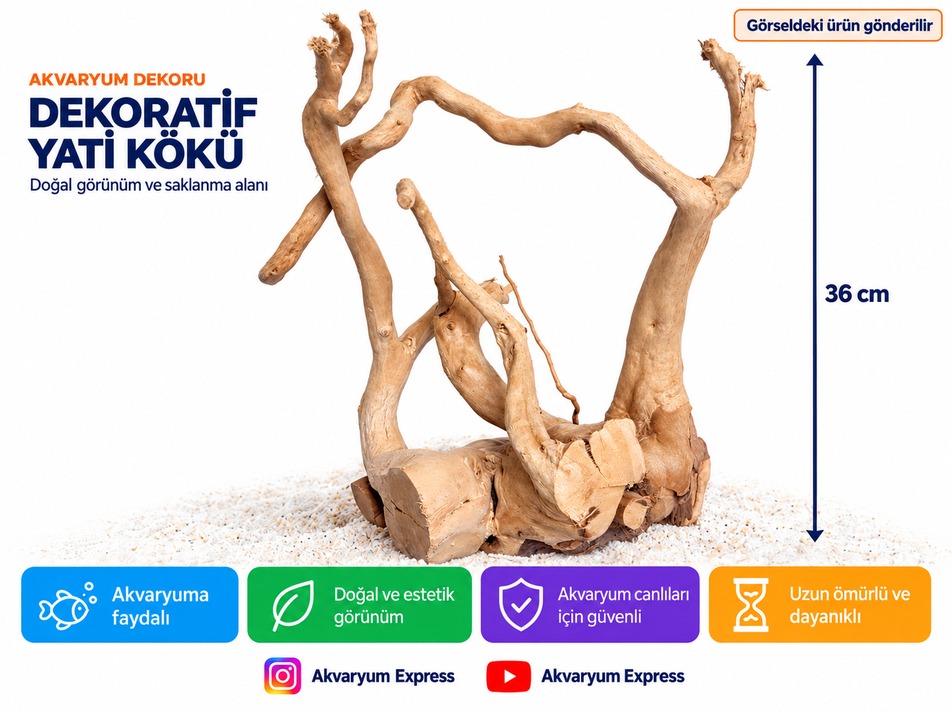 DOĞAL DEKORATİF YATİ KÖKÜ AKVARYUM DEKORU GÜZİDE MODEL