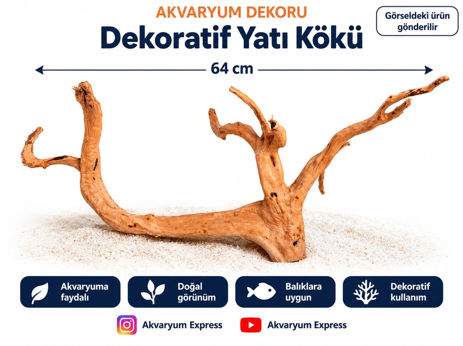 DOĞAL DEKORATİF YATİ KÖKÜ AKVARYUM DEKORU GÜZİDE MODEL