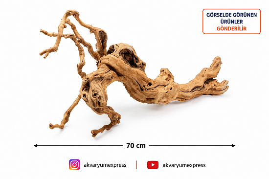 DOĞAL DEKORATİF YATİ KÖKÜ AKVARYUM DEKORU KİNG ZEMİN DEKORU