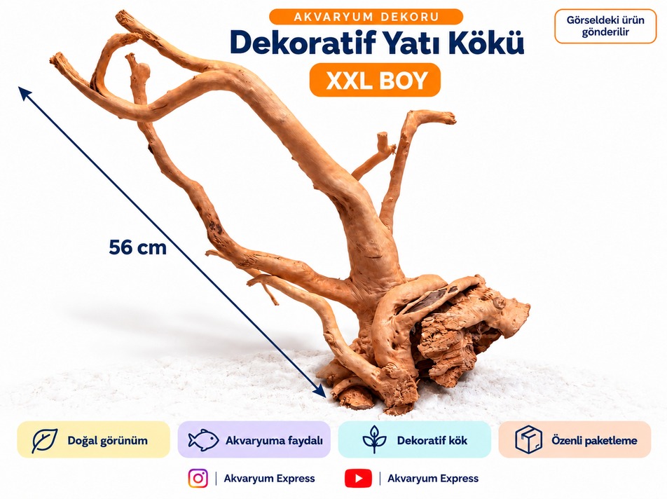DOĞAL DEKORATİF YATİ KÖKÜ AKVARYUM DEKORU KÖPRÜ MODELİ