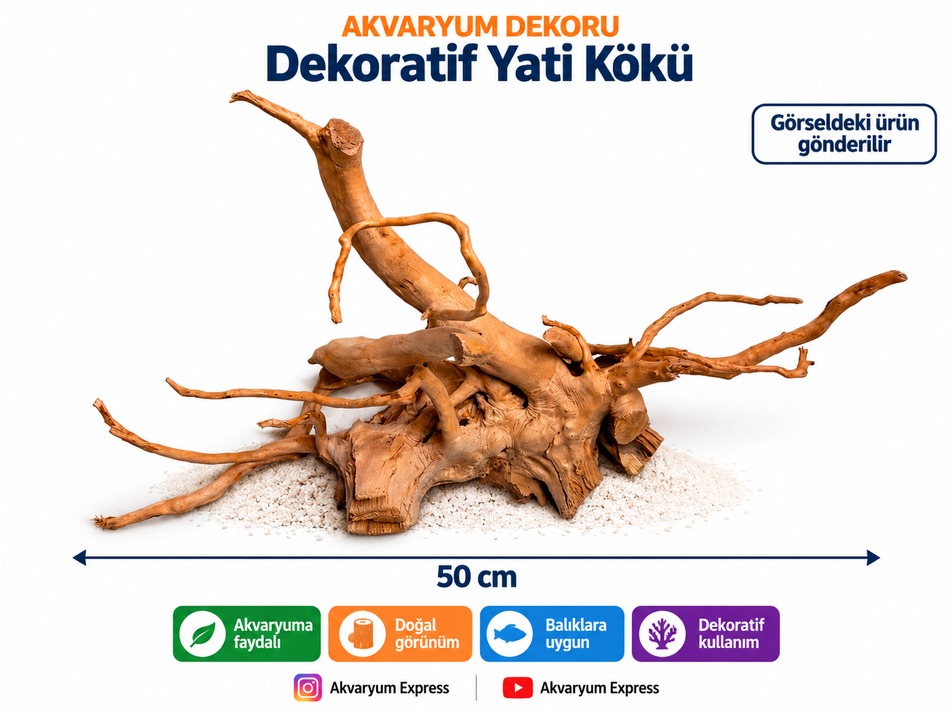 DOĞAL DEKORATİF YATİ KÖKÜ AKVARYUM DEKORU KOZMİK MODEL