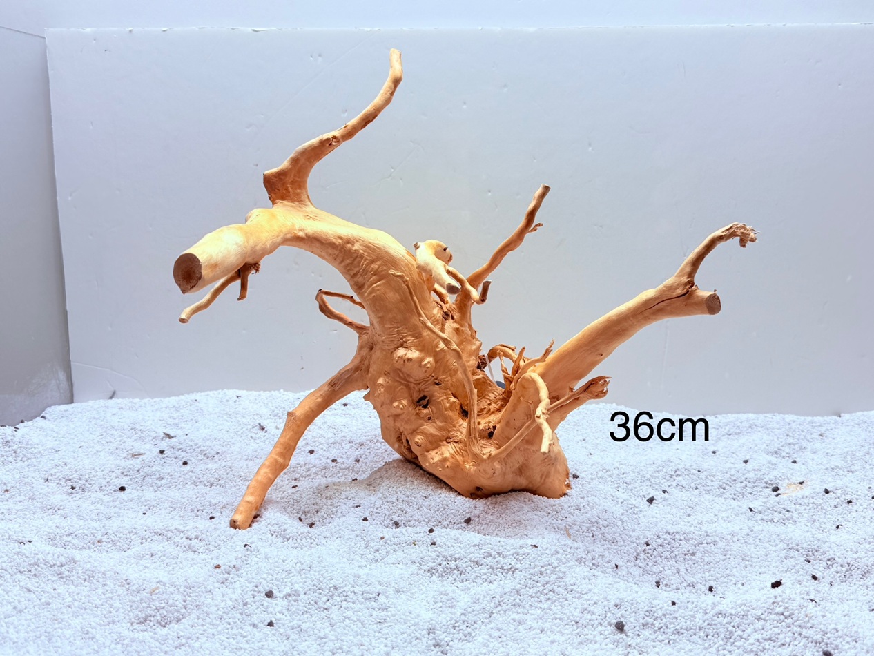 DOĞAL DEKORATİF YATİ KÖKÜ AKVARYUM DEKORU NEBULA MODELİ DOĞAL DEKORATİF YATİ KÖKÜ AKVARYUM DEKORU NEBULA MODELİ