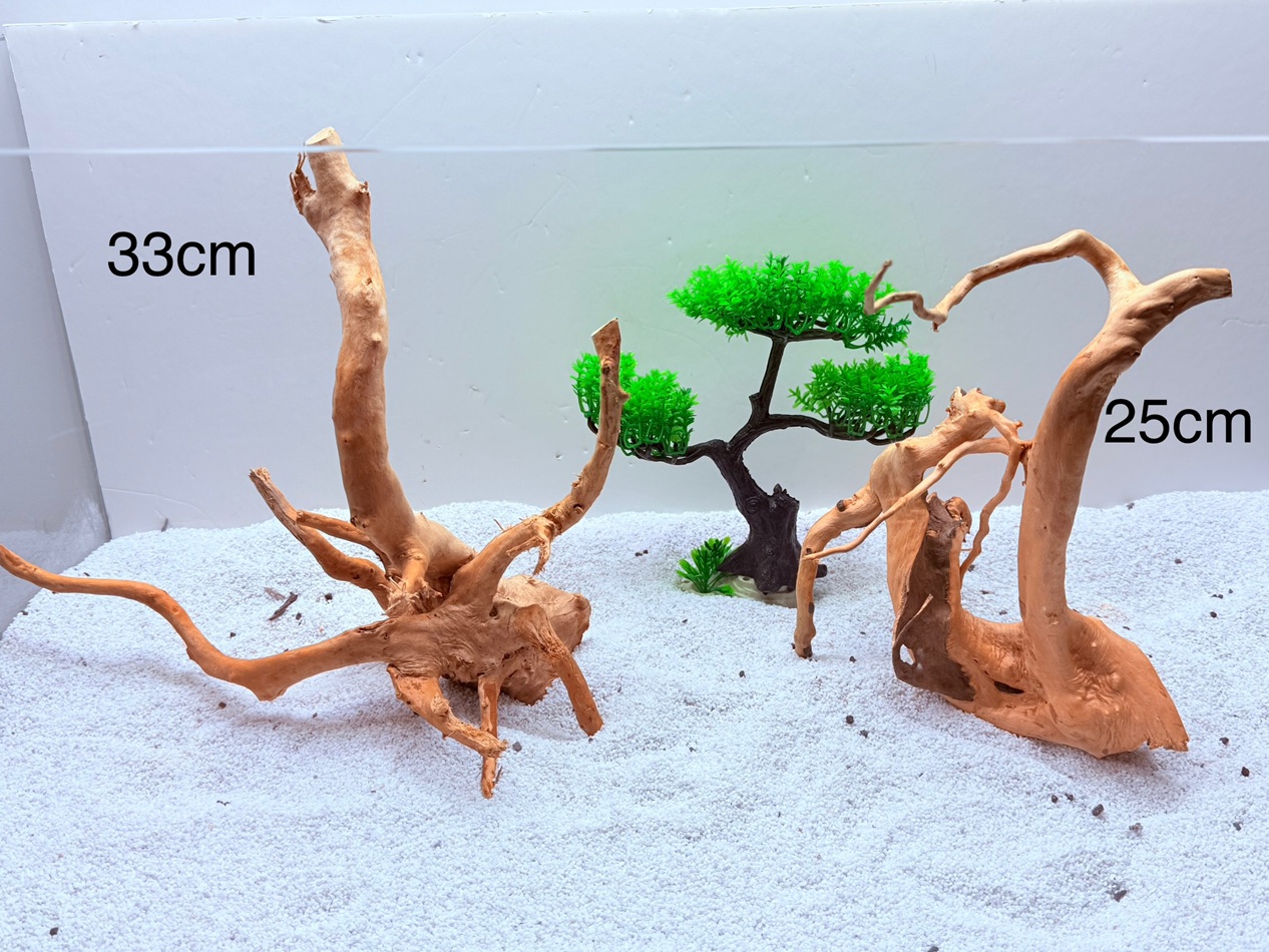 DOĞAL DEKORATİF YATİ KÖKÜ AKVARYUM DEKORU PLAKET MODELİ 2 parça DOĞAL DEKORATİF YATİ KÖKÜ AKVARYUM DEKORU PLAKET MODELİ 2 parça