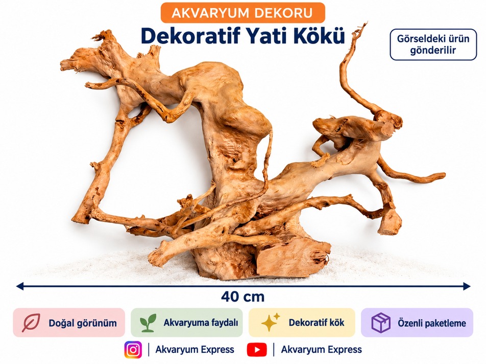 DOĞAL DEKORATİF YATİ KÖKÜ AKVARYUM DEKORU PREMİUM MODEL