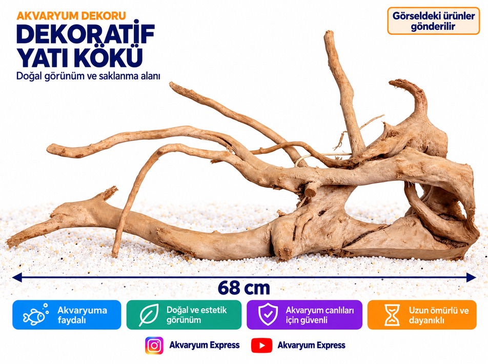 DOĞAL DEKORATİF YATİ KÖKÜ AKVARYUM DEKORU PREMİUM MODEL