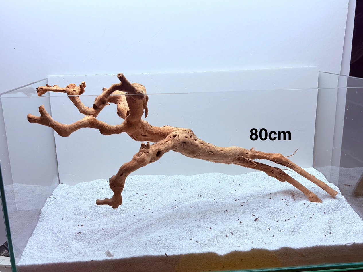 DOĞAL DEKORATİF YATİ KÖKÜ AKVARYUM DEKORU PROF MODEL DOĞAL DEKORATİF YATİ KÖKÜ AKVARYUM DEKORU PROF MODEL