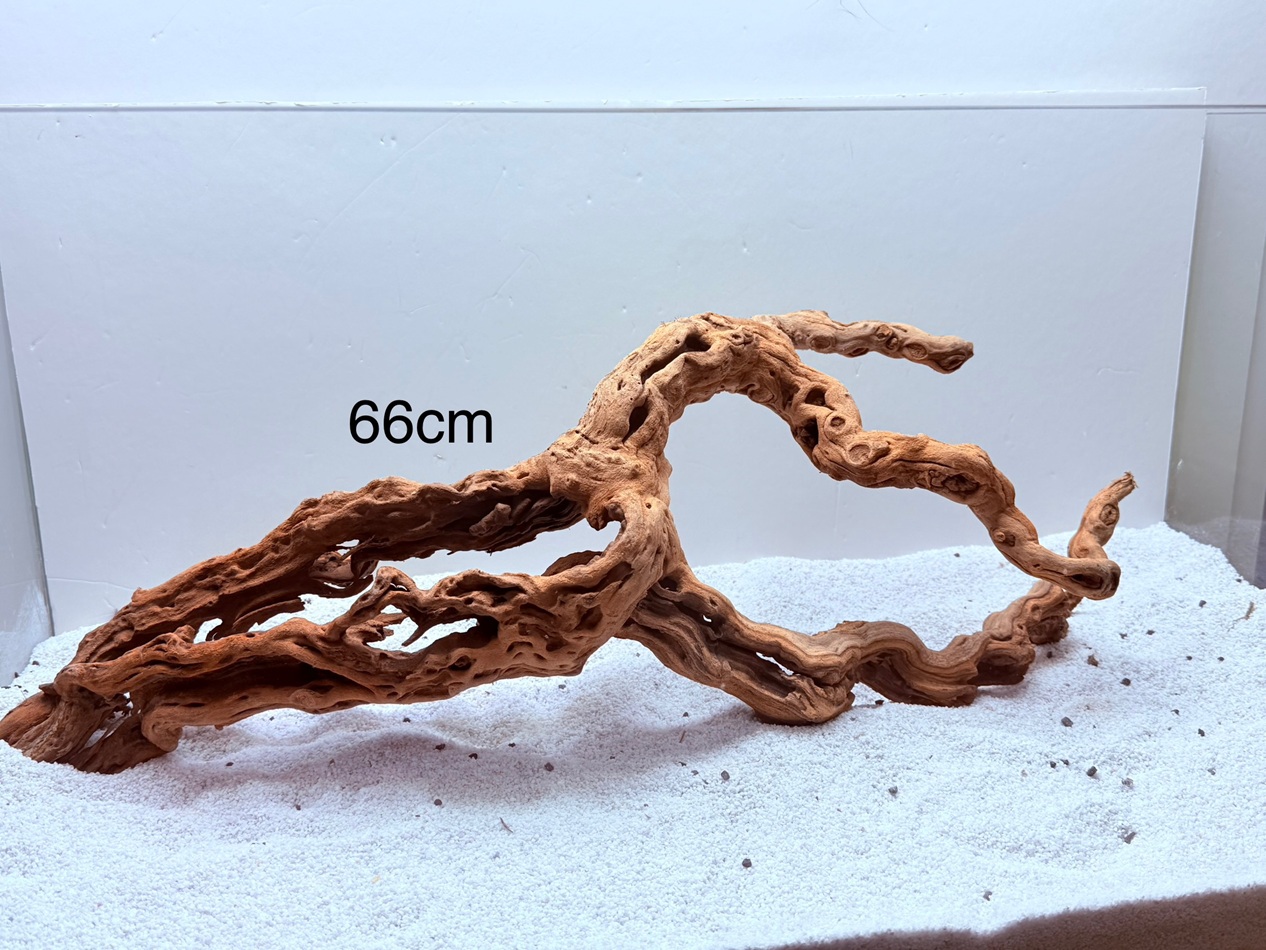 DOĞAL DEKORATİF YATİ KÖKÜ AKVARYUM DEKORU PROF MODEL DOĞAL DEKORATİF YATİ KÖKÜ AKVARYUM DEKORU PROF MODEL