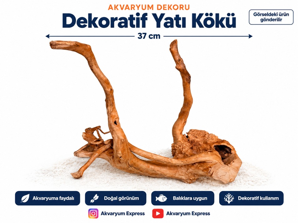 DOĞAL DEKORATİF YATİ KÖKÜ AKVARYUM DEKORU SİYAM MODELİ