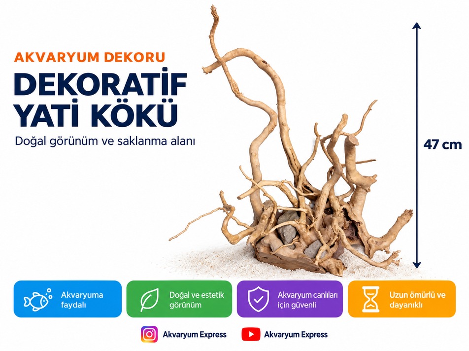 DOĞAL DEKORATİF YATİ KÖKÜ AKVARYUM DEKORU TABANLI MODEL
