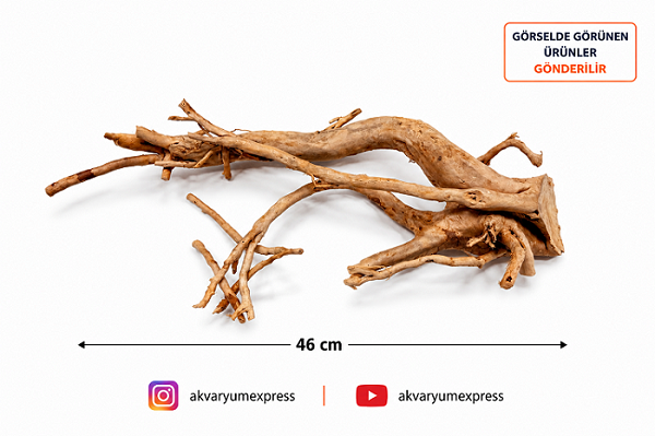 DOĞAL DEKORATİF YATİ KÖKÜ AKVARYUM DEKORU TABANLI MODEL