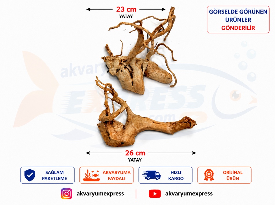 DOĞAL DEKORATİF YATİ KÖKÜ AKVARYUM DEKORU TASARIM MODELİ