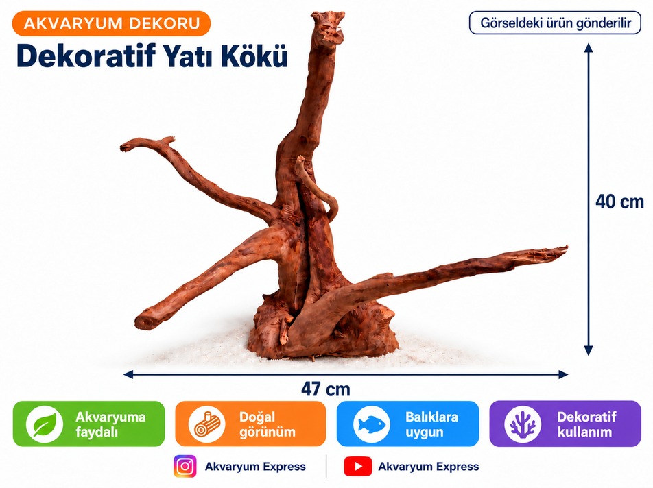 DOĞAL DEKORATİF YATİ KÖKÜ AKVARYUM DEKORU UFUK MODELİ