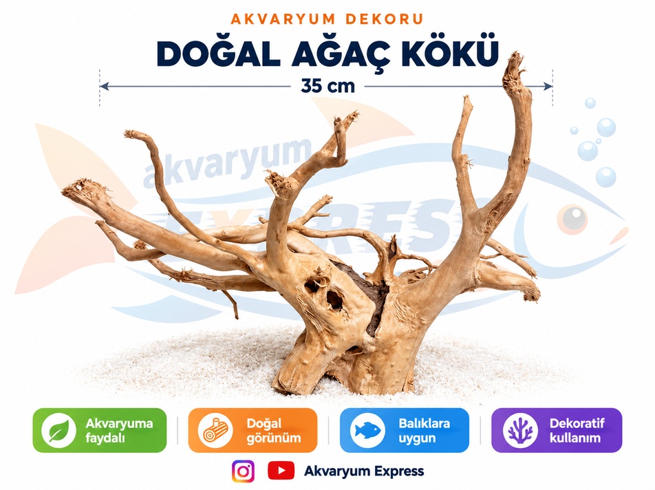DOĞAL DEKORATİF YATİ KÖKÜ AKVARYUM DEKORU UFUK MODELİ