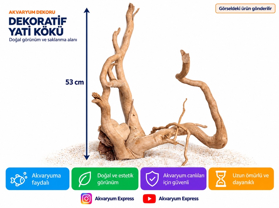 DOĞAL DEKORATİF YATİ KÖKÜ AKVARYUM DEKORU ZİNDE MODEL