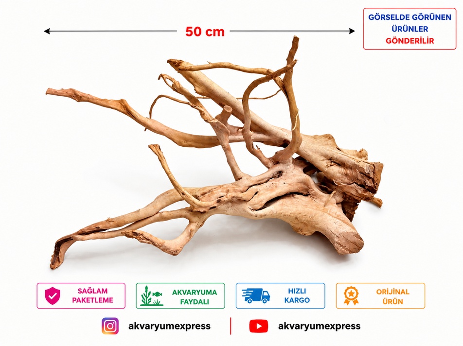 DOĞAL DEKORATİF YATİ KÖKÜ ŞEMSİYE MODELİ AKVARYUM DEKORU