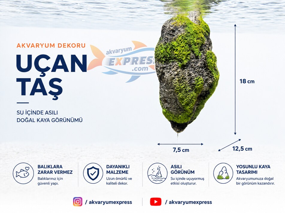 Dophin Yüzen Kaya L Boy Akvaryum Dekoru