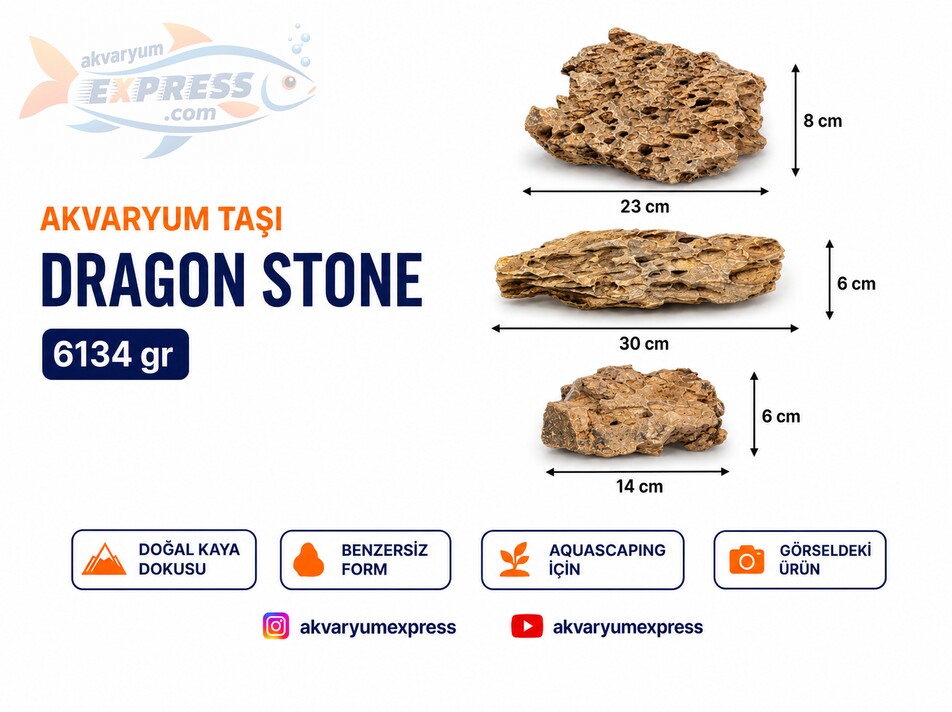 Dragon Stone Doğal Dekoratif Akvaryum Taşı