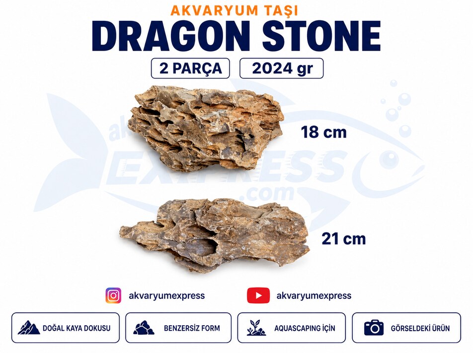 DRAGON STONE DOĞAL DEKORATİF AKVARYUM TAŞI (GÖRSELDEKİ GÖNDERİLİR)