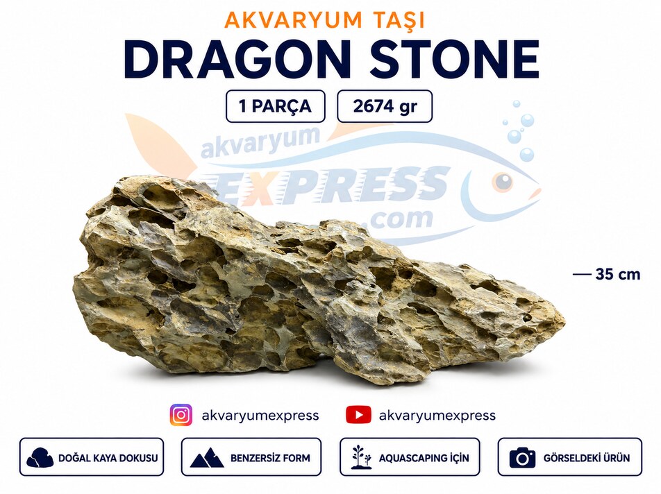 DRAGON STONE DOĞAL DEKORATİF AKVARYUM TAŞI (GÖRSELDEKİ GÖNDERİLİR)