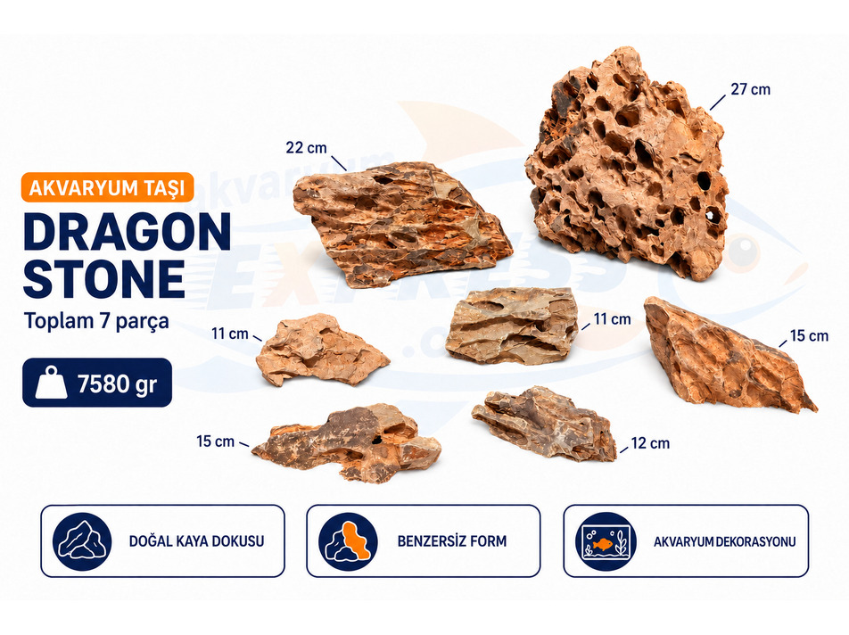 DRAGON STONE DOĞAL DEKORATİF AKVARYUM TAŞI (GÖRSELDEKİ GÖNDERİLİR)