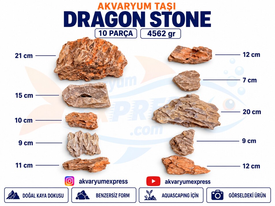 DRAGON STONE DOĞAL DEKORATİF AKVARYUM TAŞI (GÖRSELDEKİ GÖNDERİLİR)