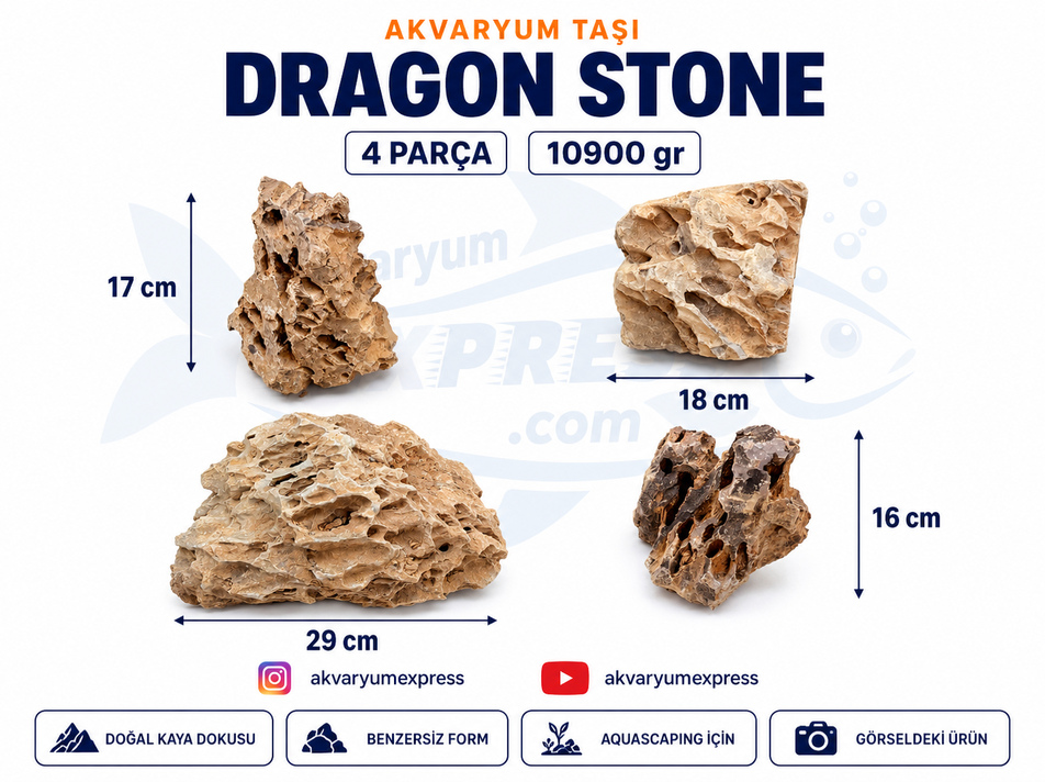Dragon Stone Doğal Dekoratif Akvaryum Taşı ( görseldeki gönderilir) 4 parça