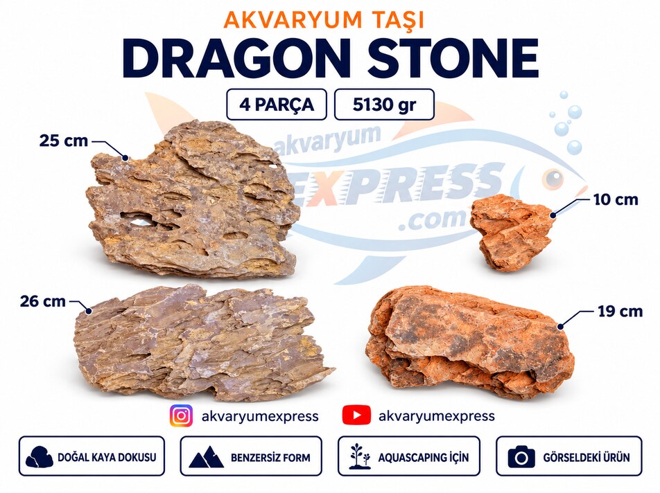 DRAGON STONE DOĞAL DEKORATİF AKVARYUM TAŞI (GÖRSELDEKİ GÖNDERİLİR)