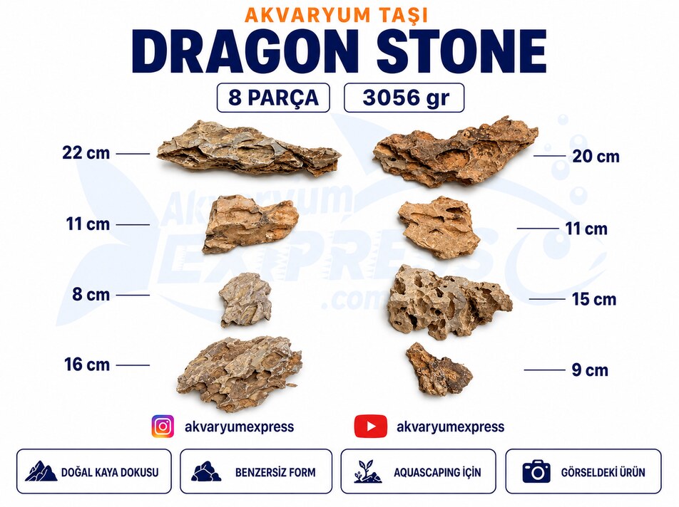 DRAGON STONE DOĞAL DEKORATİF AKVARYUM TAŞI (GÖRSELDEKİ GÖNDERİLİR)