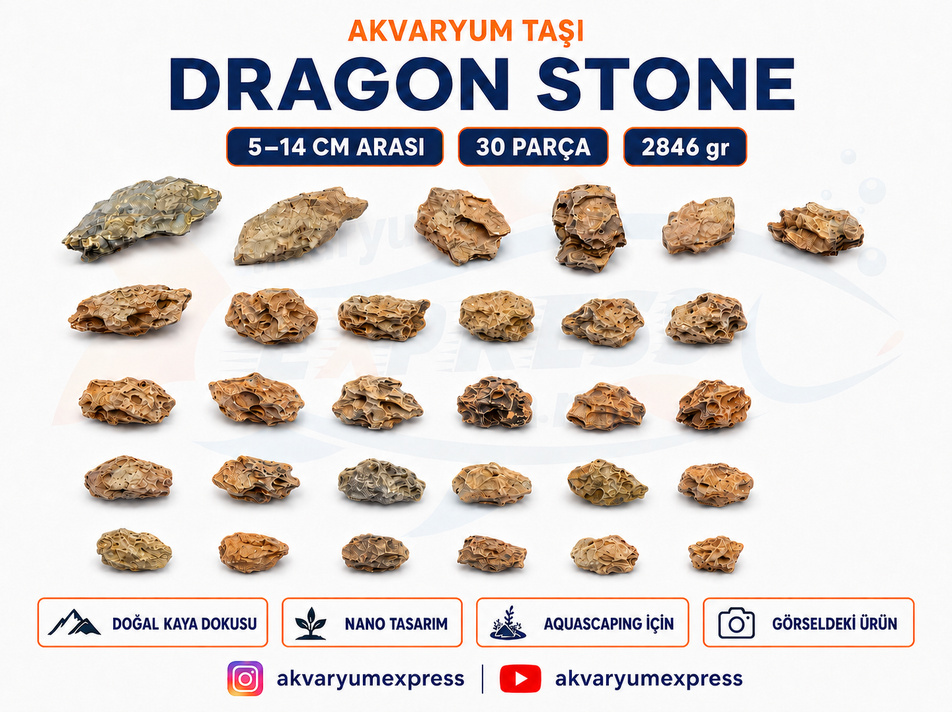 Dragon Stone Doğal Dekoratif Akvaryum Taşı ( görseldeki gönderilir) 