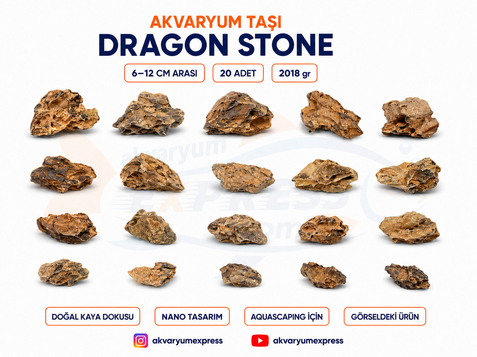 DRAGON STONE DOĞAL DEKORATİF AKVARYUM TAŞI (GÖRSELDEKİ GÖNDERİLİR)