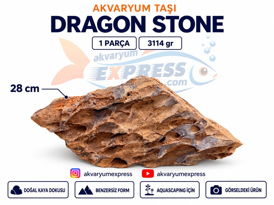 DRAGON STONE DOĞAL DEKORATİF AKVARYUM TAŞI (GÖRSELDEKİ GÖNDERİLİR)