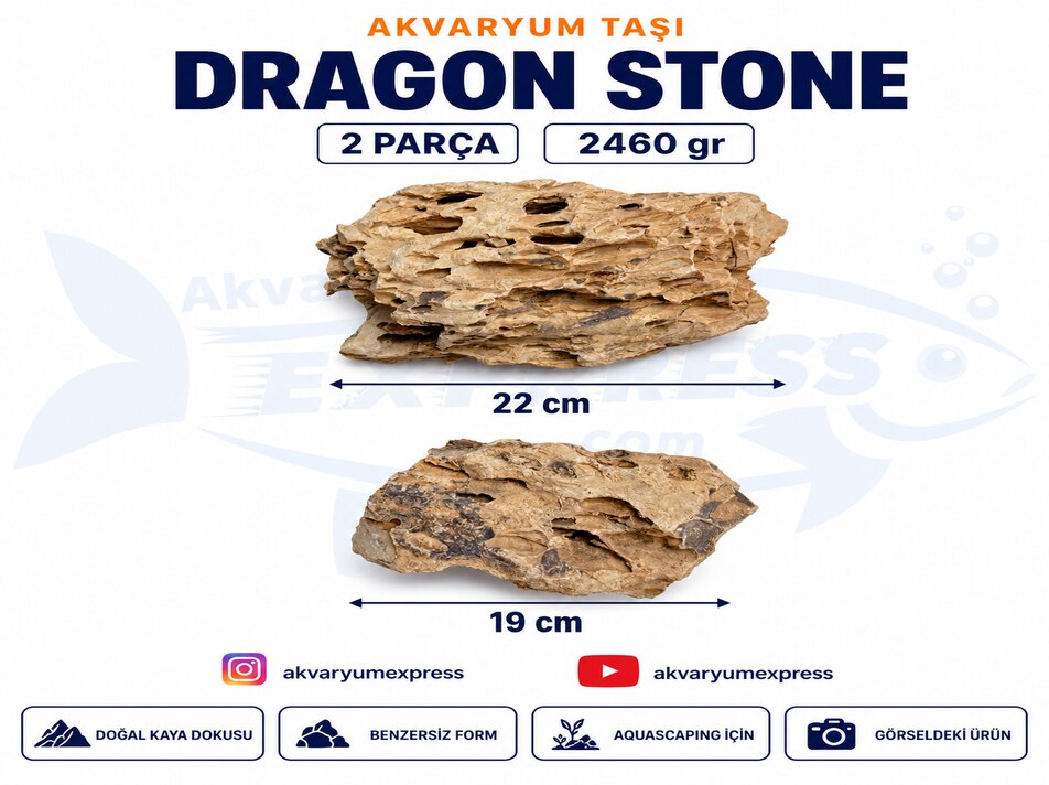 DRAGON STONE DOĞAL DEKORATİF AKVARYUM TAŞI (GÖRSELDEKİ GÖNDERİLİR)
