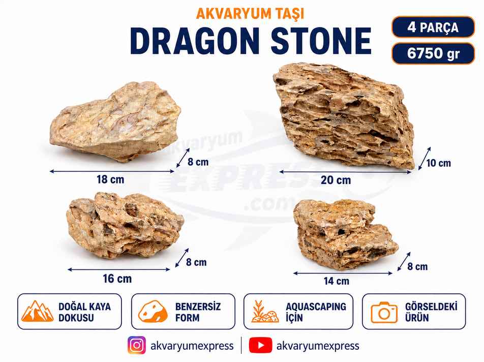 DRAGON STONE DOĞAL DEKORATİF AKVARYUM TAŞI (GÖRSELDEKİ GÖNDERİLİR)