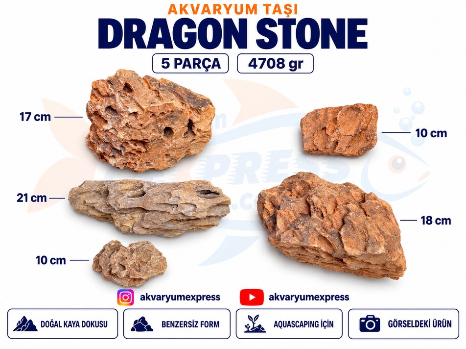 DRAGON STONE DOĞAL DEKORATİF AKVARYUM TAŞI (GÖRSELDEKİ GÖNDERİLİR)