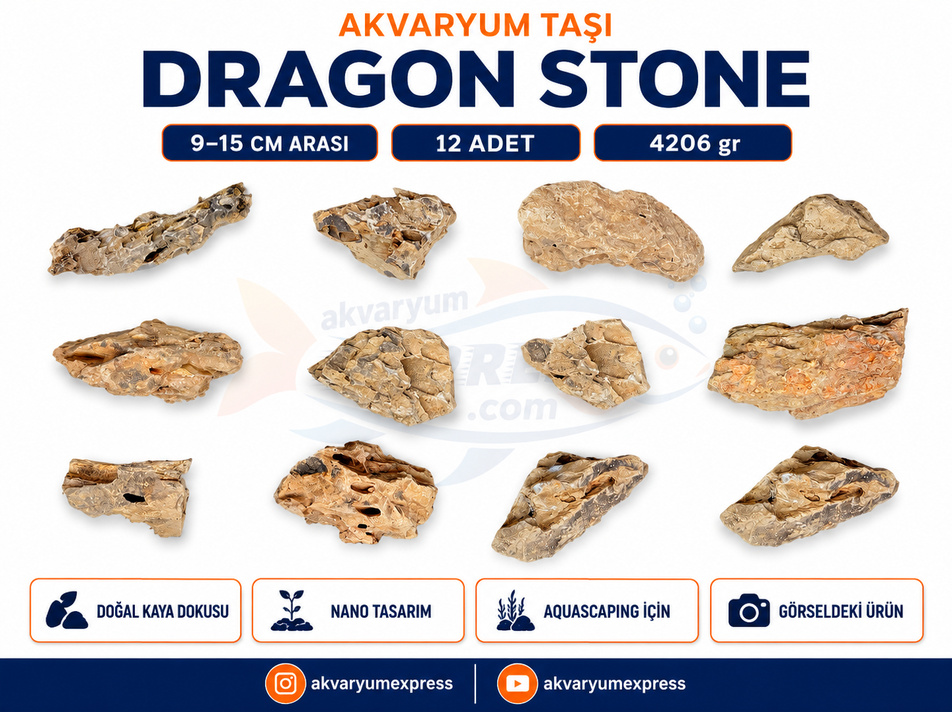 DRAGON STONE DOĞAL DEKORATİF AKVARYUM TAŞI (GÖRSELDEKİ GÖNDERİLİR)
