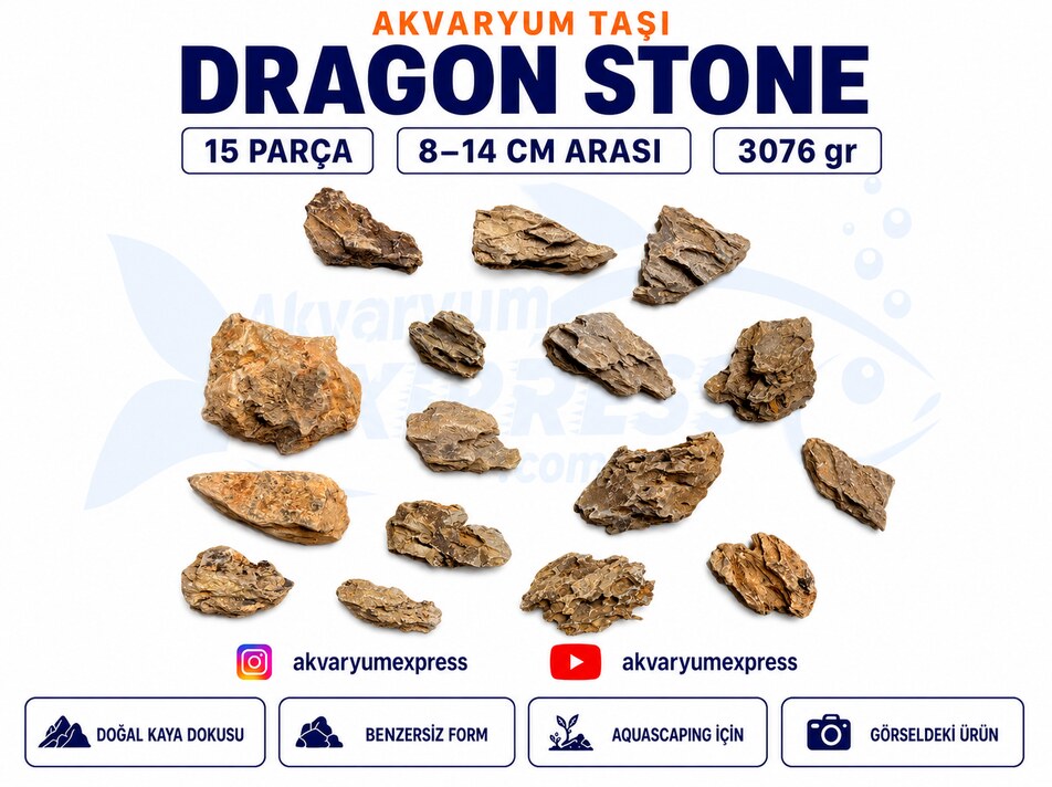 DRAGON STONE DOĞAL DEKORATİF AKVARYUM TAŞI (GÖRSELDEKİ GÖNDERİLİR)
