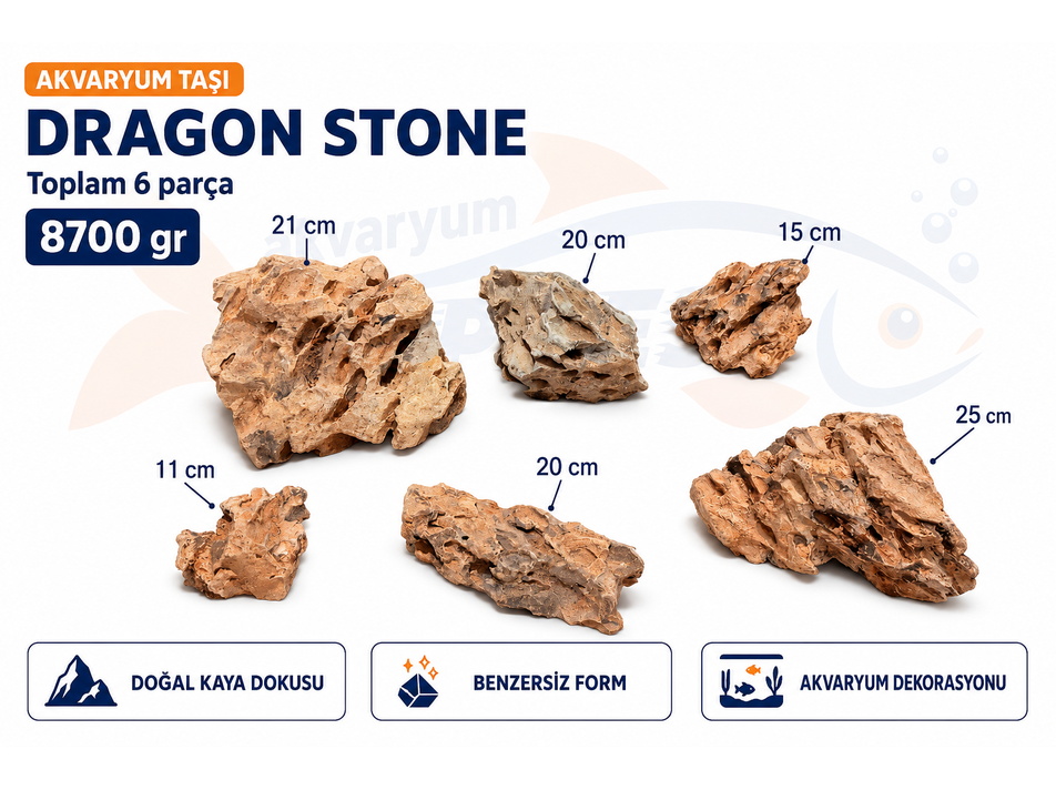 DRAGON STONE DOĞAL DEKORATİF AKVARYUM TAŞI (GÖRSELDEKİ GÖNDERİLİR)