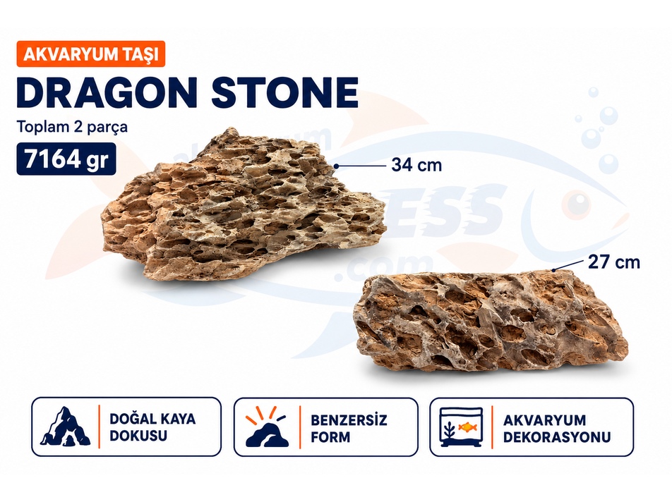 DRAGON STONE DOĞAL DEKORATİF AKVARYUM TAŞI (GÖRSELDEKİ GÖNDERİLİR)