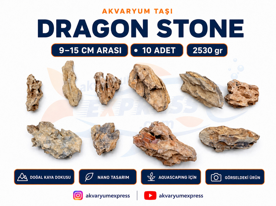 DRAGON STONE DOĞAL DEKORATİF AKVARYUM TAŞI NANO TASARIM (GÖRSELDEKİ GÖNDERİLİR)