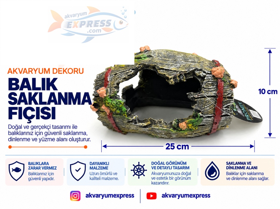 FIÇI AKVARYUM DEKORU