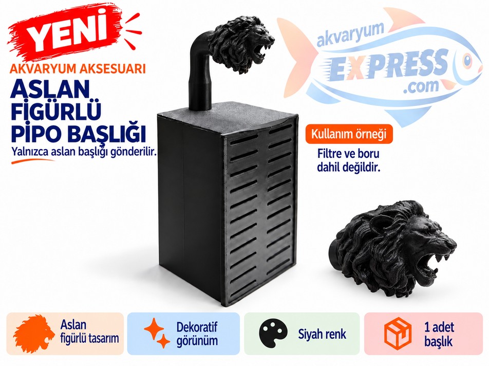 HAMBURG SUMPLU PİPO BORU BAŞLIĞI ASLAN